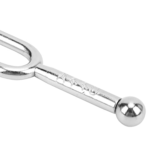 Eujgoov Diapasão de aço inoxidável 440Hz Tuning Frok 120 mm/4,7 polegadas Instrumento musical para v