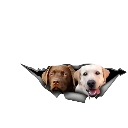 Französische Bulldogge Aufkleber, 3D Zerrissener Effekt, Was