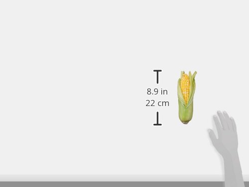 Bi-color Corn, 1 Ear