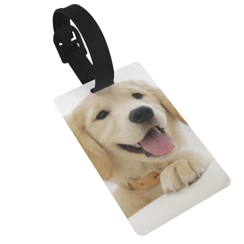 ���Q�b�W�^�O ���h �l�[���^�O �S�[���f�� ���g���o�[ ���s�p�i �o�b�O�p �l�[���z���_�[ �X�[�c�P�[�X �l�[���v���[�g ���D �`���[��