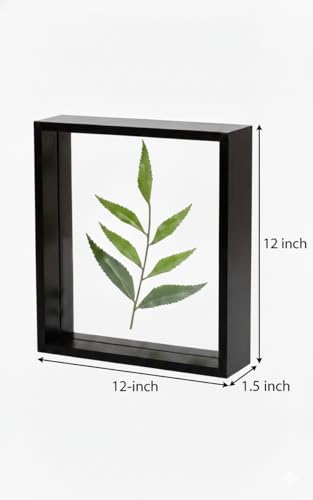 Image of Desi Rang Wooden Frame for Wall Decor Table top Hanging Any Green or dry plant Leaf Picture Photo DIY Gift Home decoration (Black,Sqr,12x12 inch,without leaf)