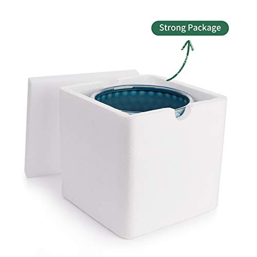 Potey Planters Pots For Plants Indoor 054308 6 Inch Ceramic Vintage Style Polka Dot Patterned Planters Bonsai Container With Drainage Hole For Plants Succulent Cactus(Plants Not Included) #TOP6