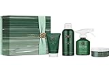 Completa el Ritual: Este maravilloso set de baño y ducha de tamaño mediano contiene una espuma de ducha, un exfoliante corporal, una crema corporal y un ambientador. Descubre The Ritual of Jing al completo