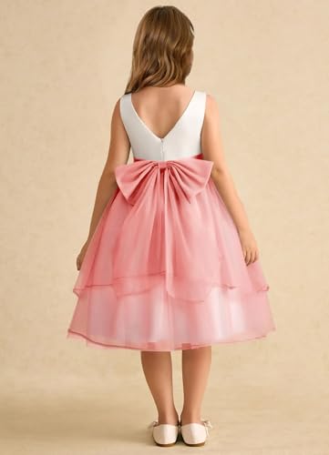 Bicolor Girls Crewneck Flower Girl Dress with Bow Knot Satin Tulle Birthday Holiday Party Dress2