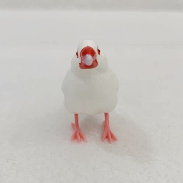 Amazon | 文鳥(白) フィギュア「雀と文鳥コレクション」5cmK4-8
