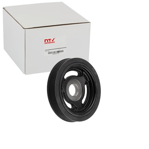 Polea de cigüeñal RKP-PE-008 amortiguador de vibración NTY