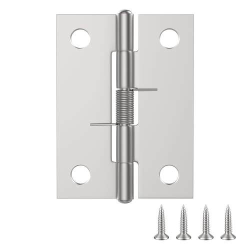 Aifeier ET 4PCS Stainless Steel Spring Hinges, Self Closing Door Hinges 2 Inch Length Small Spring Loaded Hinges for Doors, Cabinets, Jewelry Boxes, Tool Boxes
