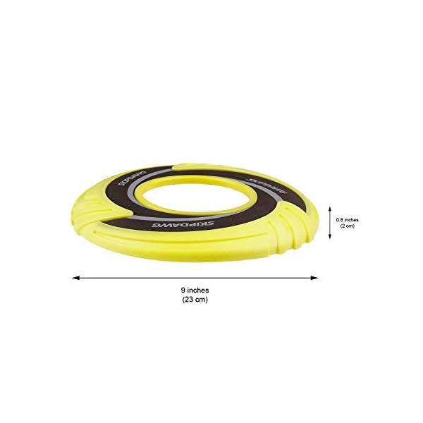 Interactive Dog Tug Toy