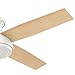Hunter 52 inch Indoor Ceiling Fan No Light with Remote Control - White Modern Ceiling Fan without Light, Low Profile Mount, 4 Blades, For Bedroom, Living Room, or Kitchen - Dempsey 59248, Fresh White