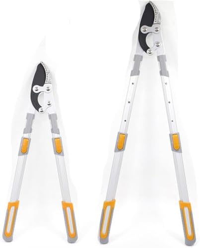 Ornatego ΂ }bLkEؒfa60mmbYf|u[hb뉀EXHEʎEԗpbϋvE|p^Cv (Lk\72`91.5cm)