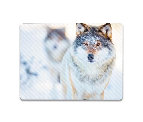 Image of MightySkins Carbon Fiber Skin Compatible with Microsoft Surface Laptop Go 3 (2023) Full Wrap Kit - Alpha Wolf | Protective, Durable Textured Carbon Fiber Finish | Made in The USA