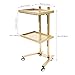 2 Tier Metal Rolling Cart, Stainless Steel Salon Tray with Wheels, Foldable Utility Carts, Folding Salon Tray Trolley for Tattoo (Golden)