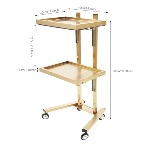 TITIDU 2-Tier Salon Trolley SPA Rolling Cart Foldable Tray Trolley Stainless Steel,with Wheels Trolley Tray Storage Cart,Hairdressing Tool Trolley (Gold)