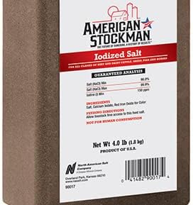 Iodized Salt Brick, 4-Lb.