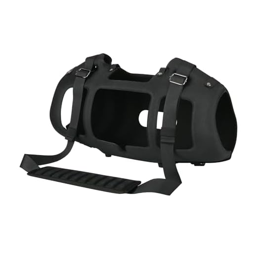 Shockproof Bag for Boombox 3 Speakers