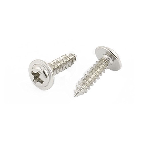Tornillo Autorroscante Phillips Acero Inoxidable 3x12 mm x100 miniatura 2
