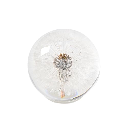 1st Heaven Dandelion Paperweight – Real Dandelion in Crystal Glass Ball, Unique Gift & Home Office...