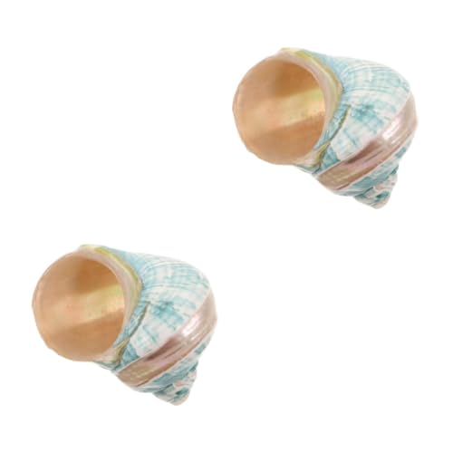 Conchas marinas PRETYZOOM para decorar peceras y solucionar la falta de estilo náutico