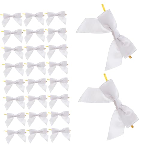 SAFIGLE 50Te{cCXgt嚒 P[Lgbp[ pNtg p[eB[ a EFfBO NX}X