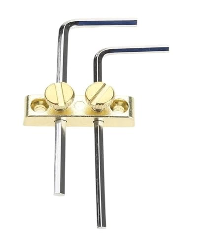 Support de clé de tête de guitare doré avec deux clés hexagonales