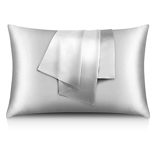 VanderHOME Funda Almohada de Seda de Morera 100%, Funda de Almohada Hipoalergénica para el Cabello y la Piel, Funda de Almohada de Seda con Cremallera Oculta 2 Pieza (Plata) Cover