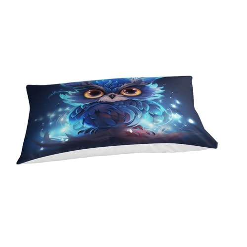 Housse de couette chouette 135x200 microfibre avec taie d'oreiller