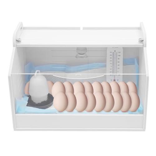 Boîte d'élevage de poussins 25 W avec lampe chauffante et thermomètre, pour volailles, reptiles, petits animaux