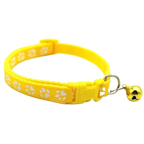 xtLp - qEqLp߉\ȃlbNX ?(Color5)