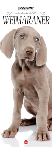 Bild: Weimaraner. Calendario 2026. Long (Lisa Goodman Long) f�r 11,33 EUR bei amazon.de