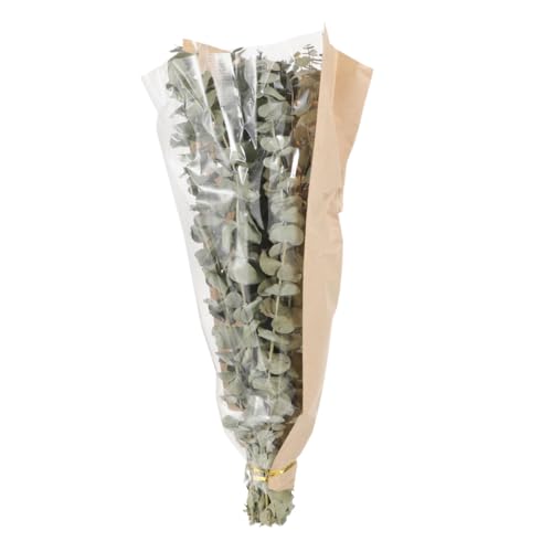 Ramo de hojas secas de eucalipto y lavanda 12 tallos miniatura 7