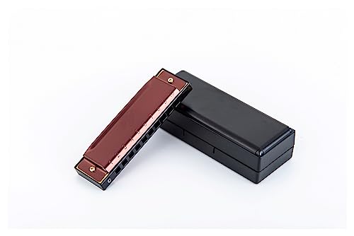 PacuM Harmonica par clé d’instrument 10 trous 20 tons Harmonica diatonique en acier inoxydable couvre Major C Harmonica Case Harmonica - Les Beatles, Paul McCartney, John Lennon, RIngo Starr, George Harrison PacuM Harmonica par clé d'instrument 10 trous 20 tons Harmonica diatonique en acier inoxydable couvre Major C Harmonica Case Harmonica