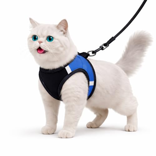 Image of Berlin's Cat Harness with Leash for Outdoor, Walking, Escape Proof, Air Mesh Fabric, Easy Control, Adjustable & Durable Cat Leash with Harness for Cats (Black-Blue, Small)