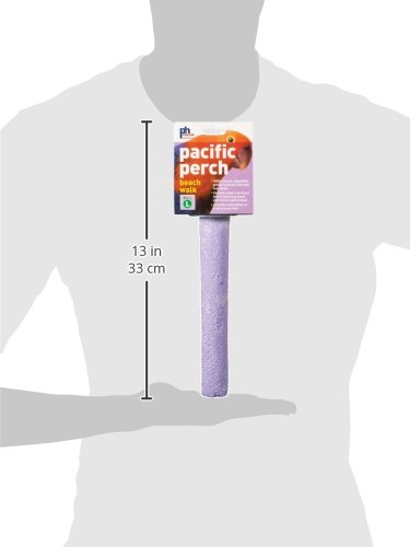 Image of Prevue Pet Products Pacific Perch Beach Walk Large - Natural Seashell Mineral Bird Perch for Cage Accessory, Foot Exercise & Beak Grooming, Medium to Large Birds