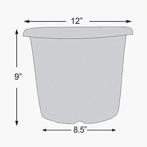 Image of Synergy Plast Plastic Round Shape Flower Pots 6 Pcs, 12 Inch Heavy Duty Plant Containers /Planter /Gamla /Plant Pot for Gardening, Balcony, Terrace, Home Decor Indoor & Outdoor Planting (Green)