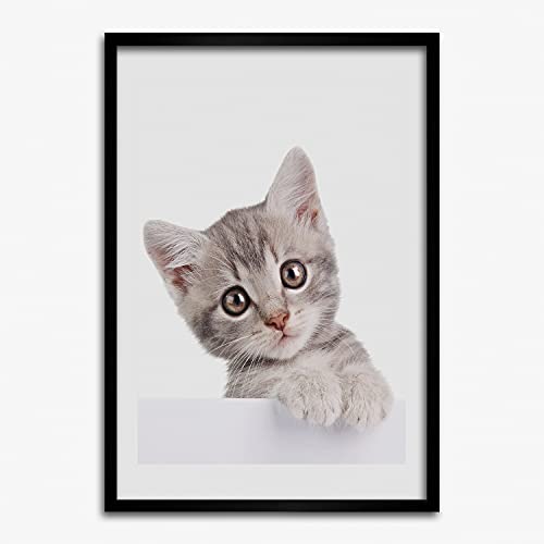 Affiche chat gris sous cadre MDF 50x70 cm Tulup pour habiller un mur vide avec style