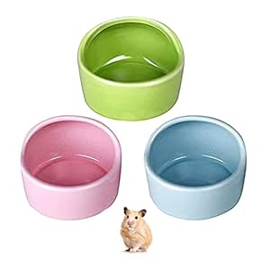 Hamster Ceramic Feeding Bowls,RoadLoo 3 Pieces Ceramic Animal Dishes Food Bowl Anti-Bite Ceramic Animal Food Bowl Cute Small Animal No Spill Water Feeder for Rabbit Hedgehog Guinea-Pig Gerbil Squirrel