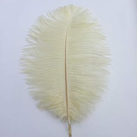 Shekyeon 14-16inch 35-40cm Ostrich Feathers Plumes for Table Decoration Pack of 10(Ivory) Cover