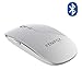 Produktbild FENIFOX Bluetooth Maus,Kabellos Ergonomische Slim Silent 2400DPI Schnurlos FÜR Pc Laptop Computer Notebook Tablet Mac Android Windows (Silber und Weiß)