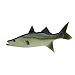 3pcs Simulated Fish Model, Lifelike Pretend Play Fish Set for Kitchen Decoration Home Decoration Store Party Display Tools Photography Props