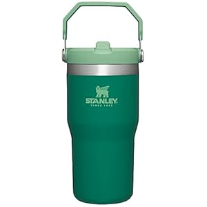 Stanley IceFlow Stainless Steel Tumbler with Straw – Vacuum Insulated Water Bottle for Home, Office or Car – Reusable Cup Leakproof Flip – Cold for 12 Hours or Iced for 2 Days (Alpine), 20oz