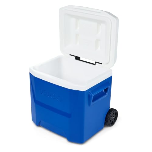 Image of Igloos Cooler Hard-Sided Ice Chest, Insulated Portable Cooler, Heavy-Duty, Leak-Resistant Lid, Lightweight Ergonomic Handle