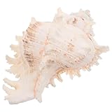 Décoration de table pour mariage : idéale pour créer de superbes centres de table sur le thème de la plage, accessoires en coquillages, coquillages naturels