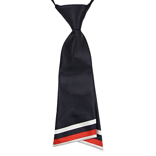 HANERDUN Womens Bowtie Ladies Pre Tied Silk Necktie Costume Accessory Gift Idea