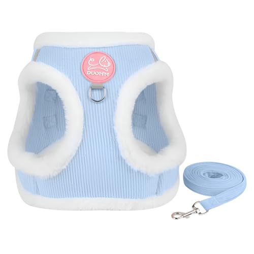 [AOKOWN]Lpw? p?? ȒP?? t _炩 v ԈS y ȒPE U P o Eh~   ^p K ybgpi