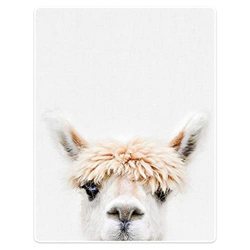 Manta para Sofá De Franela Alpaca Blanca Manta Sofa Personalizada Manta De Felpa Suave Caliente Manta Cama, para Habitación, Cama, 125x150cm