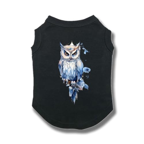 ZSDGBZ  ėp ⊴  TVc ^  ʋC  ΍ p^Ngbv t M Ă΍ 畆ی X|[cEFA JWA Lk  o U