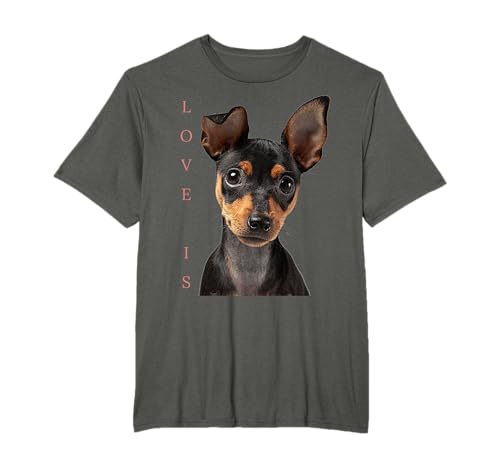 Minimo pin immagini tee shirt per andare insieme con min pincher calzini, min pin tazza, min pin maschera, min pin calendario 2021, min pin portachiavi, min pin ornamento, min pincher staffed animale, lps e altri min pin accessori che ami. Camicia per cani San Valentino Min.