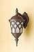 Cal Lighting OL-160WD-RU Transitional 120V,E27,100W, 7 1/2 X16 3/4X 10,Dc in Bronze/Dark Finish,