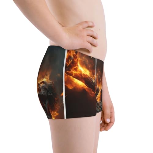 Boys' Cotton Boxer Brief Soft Underwear-Cool Fire Man2