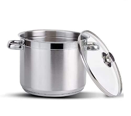 Stainless Steel Stock Pot with Glass Lids, 24 cm, 8.0 L